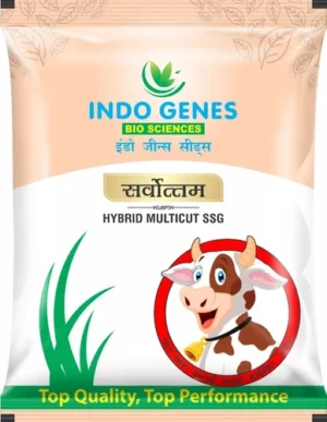 product-jpeg-500x500 (13) Packaging Pouches For Seeds