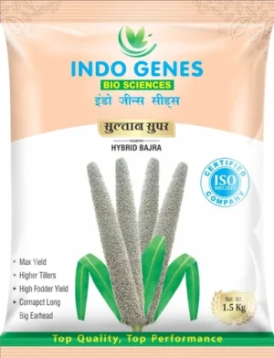 product-jpeg-500x500 (16) Seeds Packaging Paper Pouch