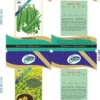 Seeds Packaging Bag