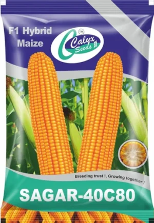 product-jpeg-500x500 (29) Seeds Packaging Bag