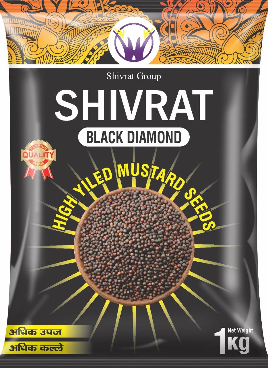High Yiled Mustard Seeds